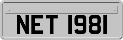 NET1981