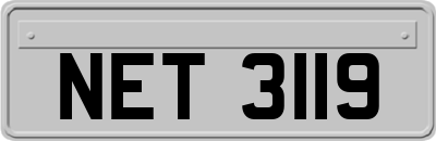 NET3119