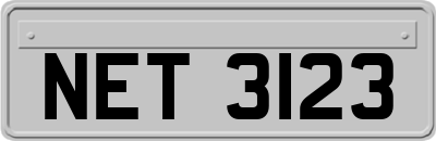 NET3123