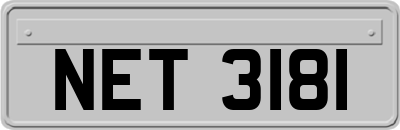 NET3181