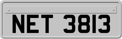 NET3813