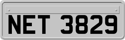 NET3829