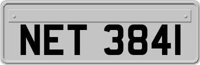 NET3841