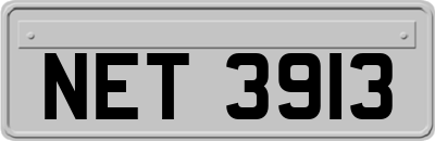 NET3913