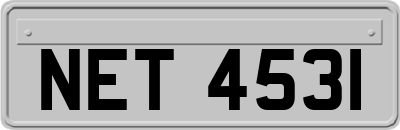 NET4531