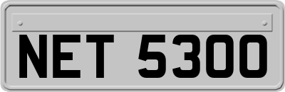 NET5300