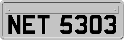 NET5303