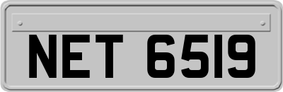 NET6519