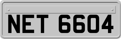 NET6604