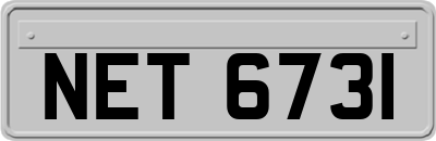 NET6731