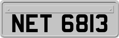 NET6813