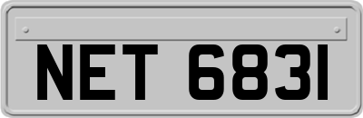 NET6831