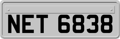 NET6838