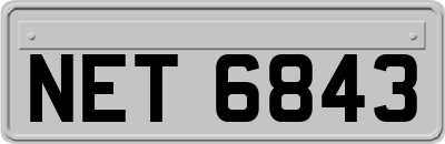 NET6843