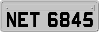 NET6845