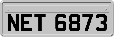 NET6873