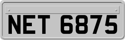 NET6875