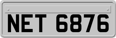 NET6876