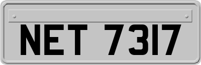 NET7317