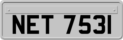 NET7531