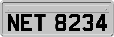 NET8234