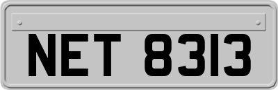 NET8313