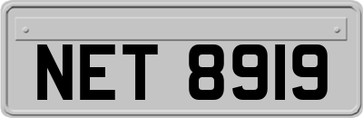 NET8919