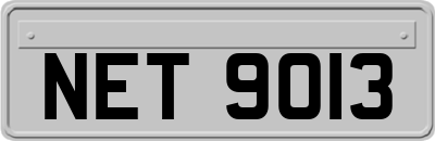 NET9013