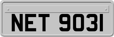 NET9031