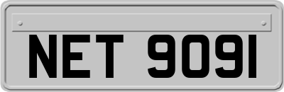 NET9091