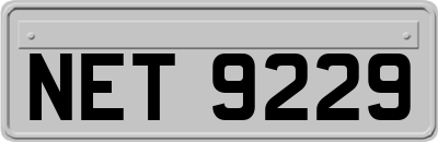 NET9229