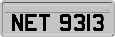 NET9313