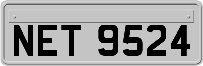 NET9524