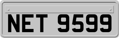 NET9599