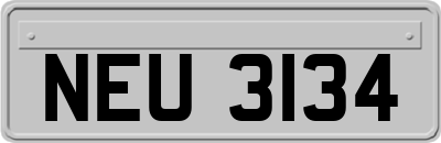 NEU3134