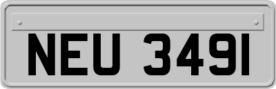 NEU3491