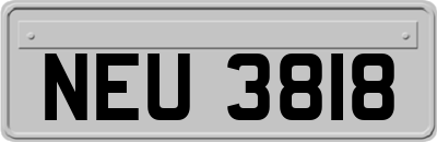 NEU3818