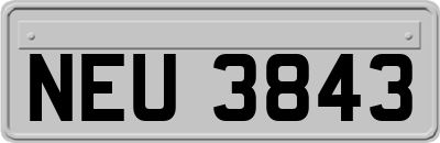 NEU3843