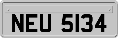 NEU5134