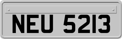 NEU5213