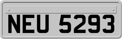 NEU5293