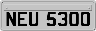 NEU5300