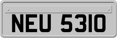 NEU5310