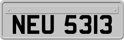 NEU5313