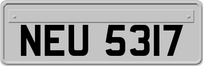 NEU5317