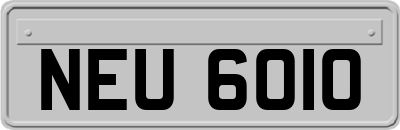 NEU6010