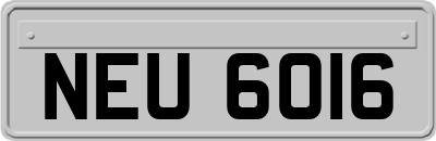 NEU6016