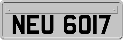 NEU6017