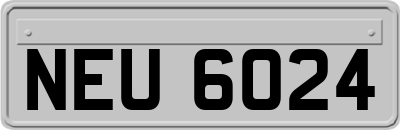 NEU6024