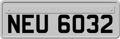 NEU6032